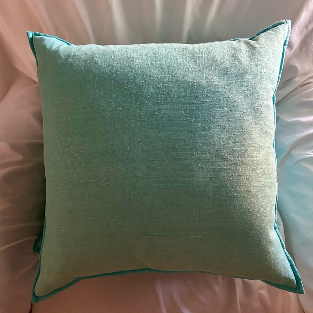 Aqua Throw Pillows